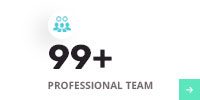 Professional-Team